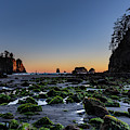 Low Tide